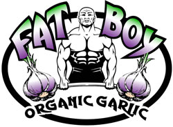 FatBoy Organic Garlic